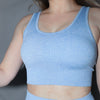 Sara Blue Sports Bra